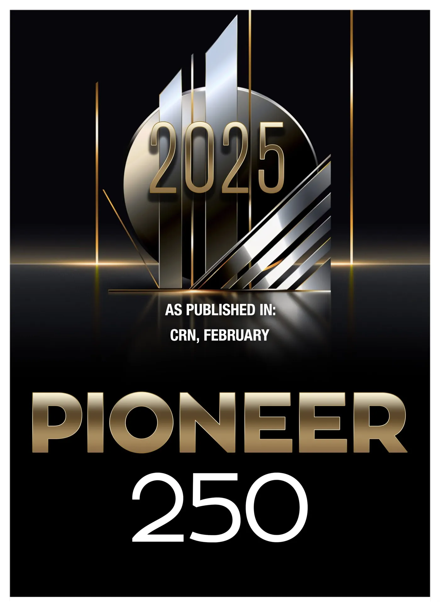 2025 Pioneer 250