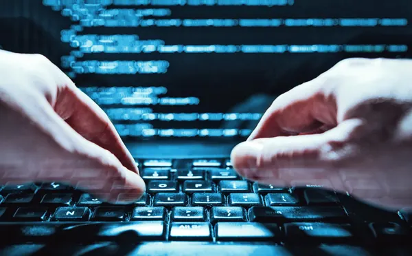 Cyber Security basics: Essential tips to protect your data